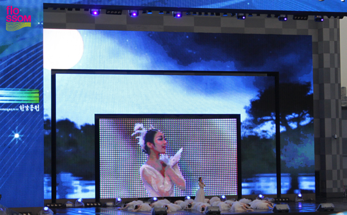 서울시 무용단 창작 공연 '백조의 호수'