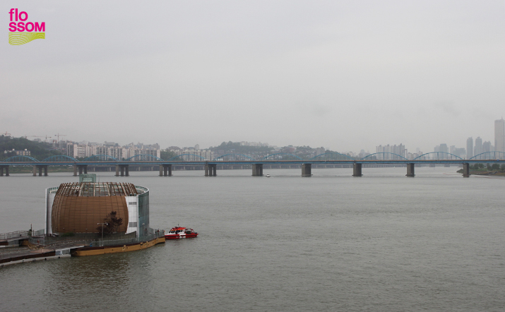 한강의 색다른 수상 레포츠를 즐길 수 있는 '솔빛섬'