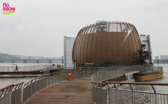 '솔빛섬'의 도교